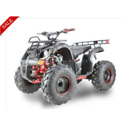 Grab Now Get Great Discounts on Icebear SPARTAN7 125cc Kids Off Road ATV