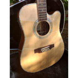 Grab Now Clearance Sale Is Live Now ZAD900CE 12 String Solid SpruceRosewood Acoustic Electric AURA Pro Series (Discount)
